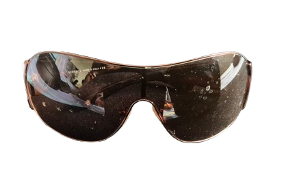 Ladies Sunglasses