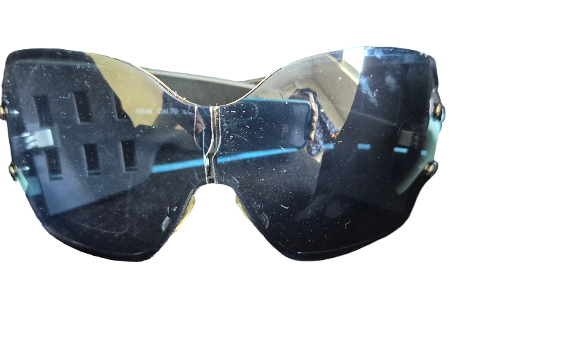 Ladies Sunglasses