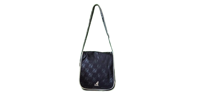 Ladies Handbag