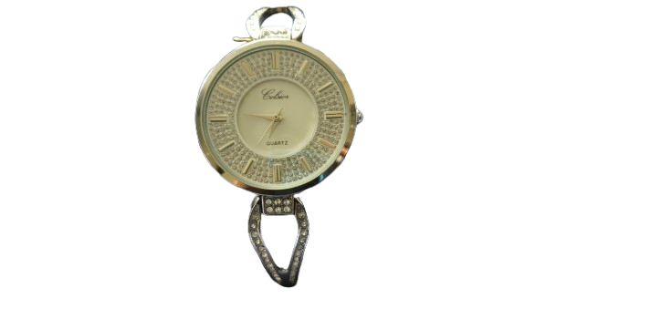 Ladies Watch