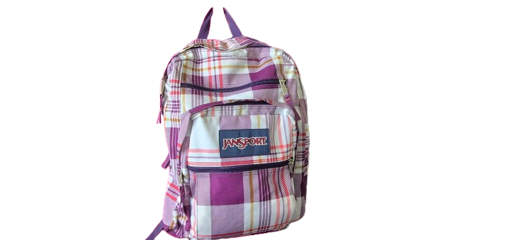 Ladies Tote  Bag