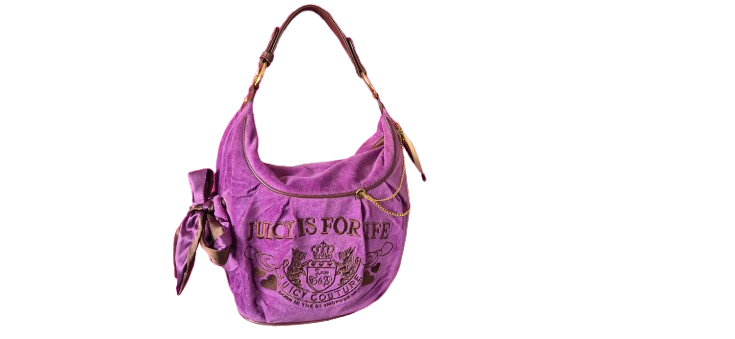 Ladies Tote  Bag