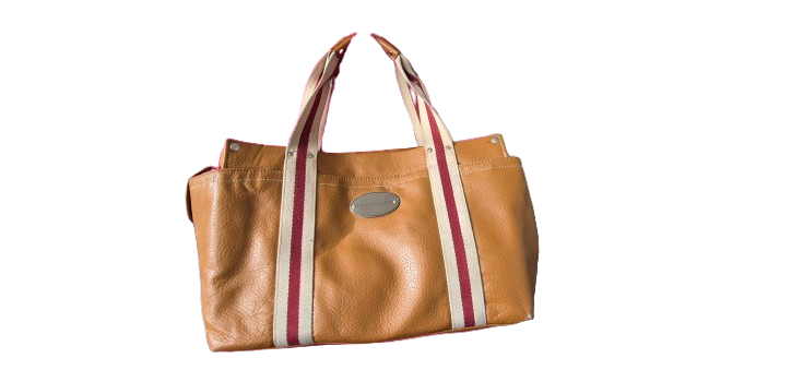 Ladies Tote  Bag