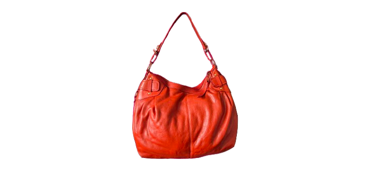 Ladies Tote  Bag