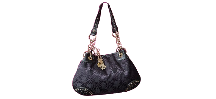 Ladies Hobo Bag