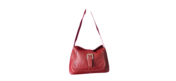 Ladies Hobo Bag