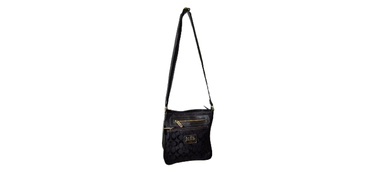 Ladies Hobo Bag