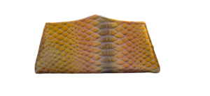 20250619 193740 removebg preview.png